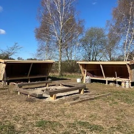 6 Person Modern With Style And Comfort Lejre